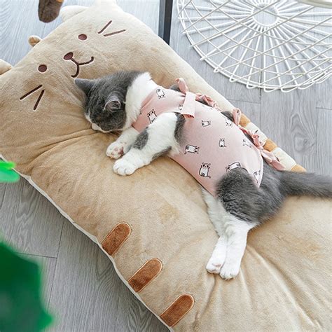 Magixal Kitty Kat Pillows: A Delight for Cat Lovers